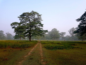 Parc national de Bardia