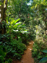 Rainforest retreat