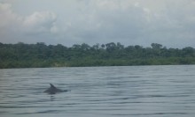 Bocas del Toro Archipelago 